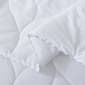 Waverly Antimicrobial Down Alternative Blanket - image 4