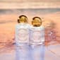 Voesh Seaside Serenity Room & Fabric Fragrance Set - $95 Value - image 5