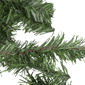 Northlight 100ft. Commercial Canadian Pine Christmas Garland - image 5
