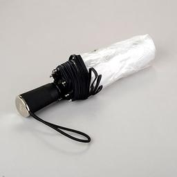 Totes Ultra Clear Auto Open Umbrella