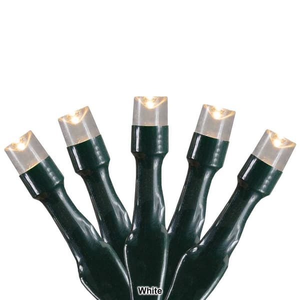 Northlight Seasonal 20ct. LED Wide Angle Holiday Lights