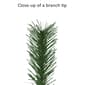 Puleo International 3ft. Pre-Lit Snow Ridge Christmas Fir Tree - image 6