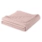 St. James Home Velvet Trim Down Alternative Blanket - image 2