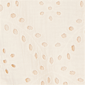 Petite Ruby Rd. Renaissance Romance Short Sleeve Eyelet Blouse - image 6