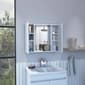 FM FURNITURE Draco Medicine Cabinet - image 2
