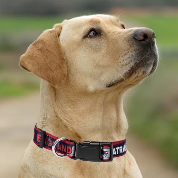 NFL New England Patriots Dog Collar