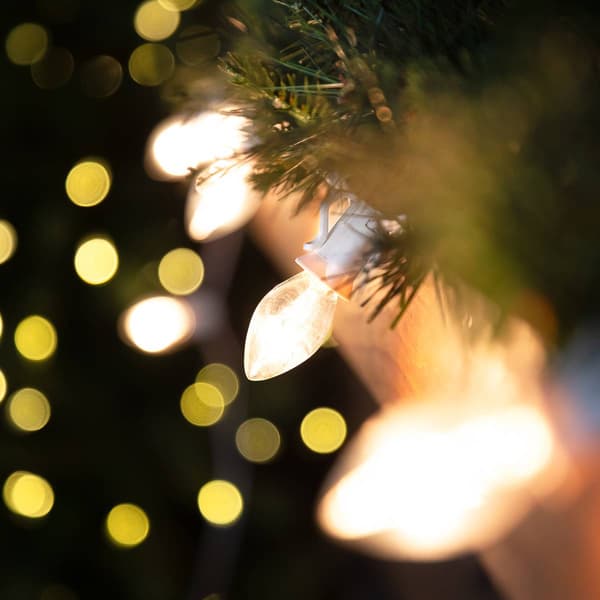 Northlight Seasonal 25ft. Clear C7 Christmas Lights - White Wire