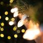 Northlight Seasonal 25ft. Clear C7 Christmas Lights - White Wire - image 5