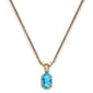 Gemstone Classics&#40;tm&#41; 14kt. Yellow Gold December Birthstone Necklace - image 1