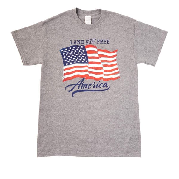 Mens Patriotic Land of the Free Short Sleeve Graphic Tee