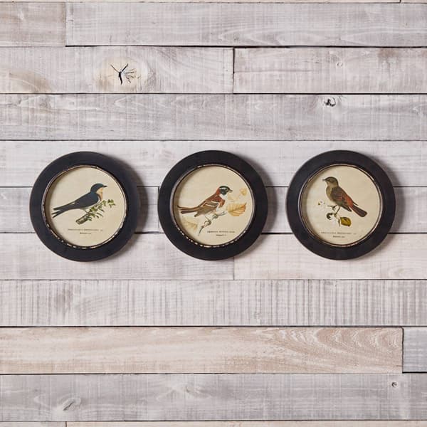 Melrose Wood Framed Encyclopedia Bird Print - Set of 3