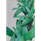 Elizabeth Sutton Maisie Palm Tree Rectangular Area Rug - image 1