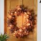 Northlight Seasonal 25ft. Clear C7 Christmas Lights - Brown Wire - image 6