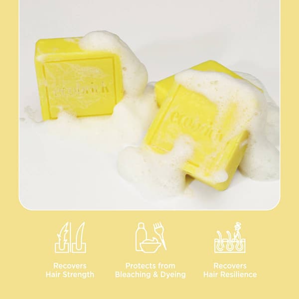 EcoBrick Mild Acidic Damaged Hair Care Shampoo Bar