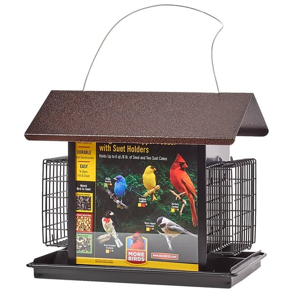 More Birds(R) Large Metal Hopper Bird Feeder w/ Suet Holders - image 