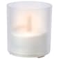 Illumaflame 4.5in. LED in Frosted Glass - image 1