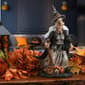 National Tree 18in. Witch Holding Black Cat - image 3