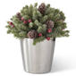 K&K Interiors Glitter Pine Ball in Silver Ceramic Pot - image 1
