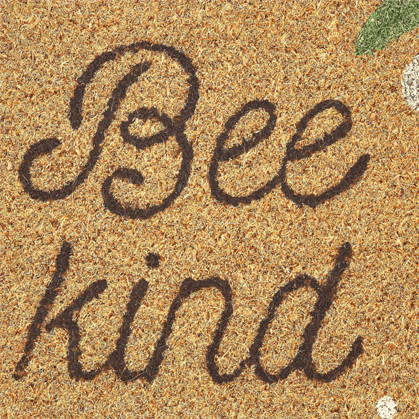 VCNY Home Multicolor Bee Kind Outdoor Coir Doormat