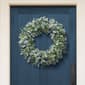 Puleo International 28in. Artificial Lamb''s Ear Wreath - image 3