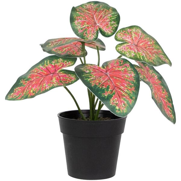 Northlight Seasonal 8in. Artificial Rohdea Potted Plant - image 