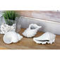 9th & Pike® Coastal Style Seashell Sculpture - Set of 3 - image 2