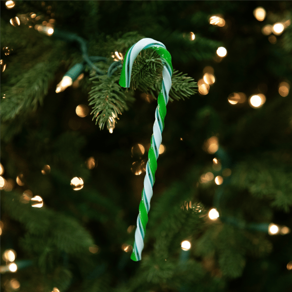 Northlight 12ct. Twist Candy Cane Christmas Ornaments