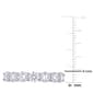 14kt. White Gold 1 3/4ctw. Lab Grown Diamond Band - image 4