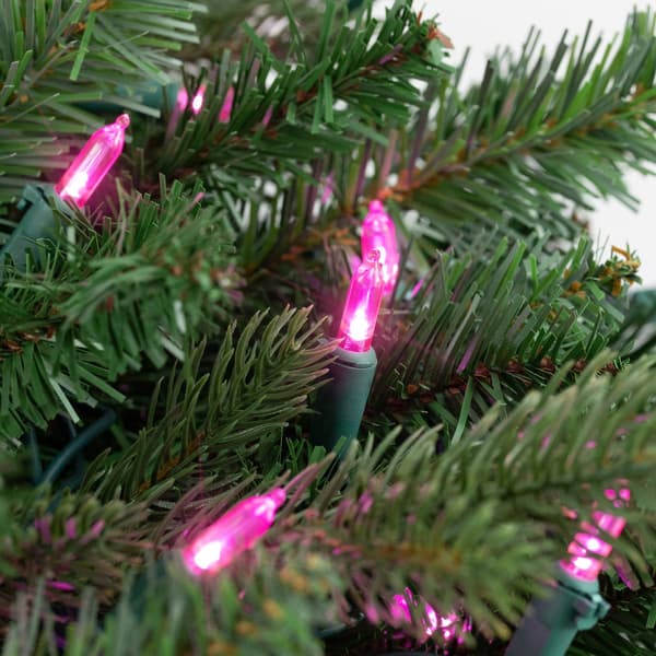 Northlight Seasonal 100 Pink LED Mini Christmas Lights