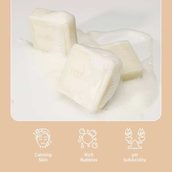EcoBrick Mild Acidic Cleansing Care Solid Bar