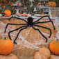 National Tree 50in. Halloween Black Spider LED Lights - image 2