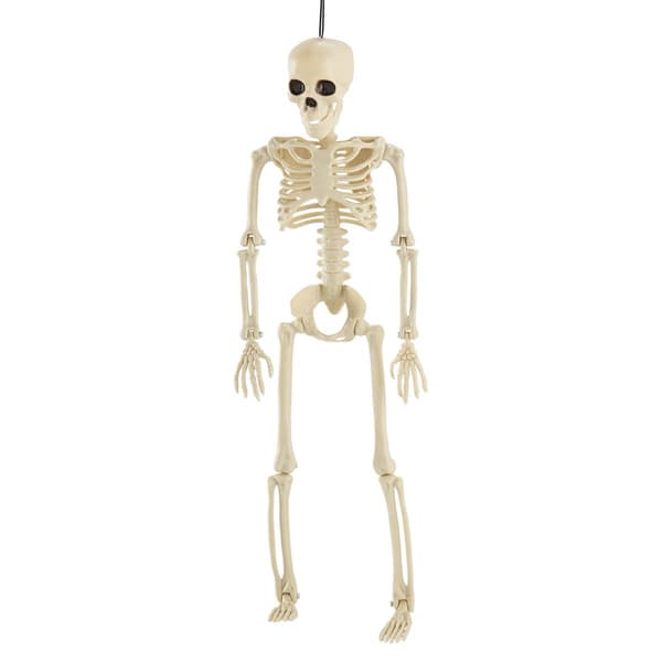 14in. Fully Posable Plastic Skeleton - image 