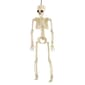 14in. Fully Posable Plastic Skeleton - image 1