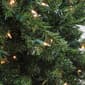 Northlight Seasonal 8ft. Canadian Pine Artificial Christmas Tree - image 2