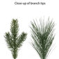 Puleo International 6ft. Pre-Lit Adorned Christmas Garland - image 6