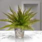 National Tree 21in. Garden Accents Ruffle Fern Plant - image 2