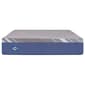 Sealy Plush 12in. Medium Foam Bed in Box Mattress - image 2