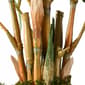 National Tree Garden Accents  22in. Bamboo Plant - image 4