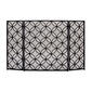 9th & Pike&#40;R&#41; Black Metal Decorative Fireplace Screen - image 1