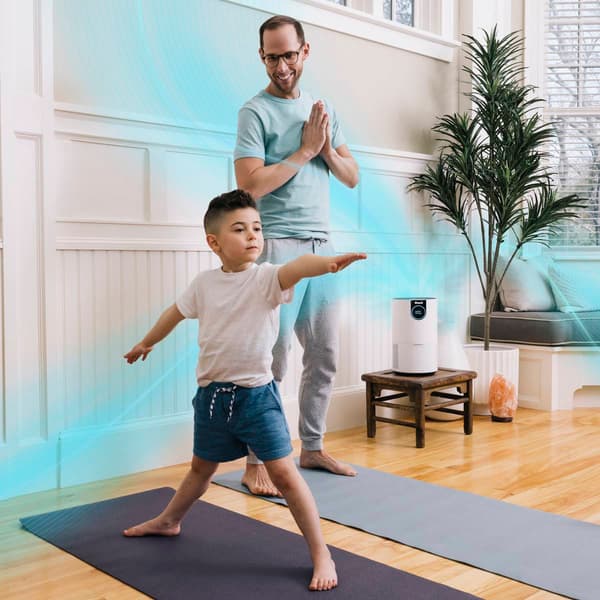 Shark® Air Purifier with True HEPA