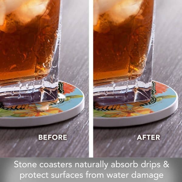 Thirstystone 4pk. 4.25in. Beautiful Monarch Round Coasters Set