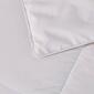 Kathy Ireland All Season Down Fiber Comforter - image 6