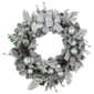 Northlight Seasonal 30in. Frosted Artificial Christmas Wreath - image 1