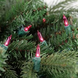 Northlight Seasonal 21.5ft. Pink Mini Christmas Light Set