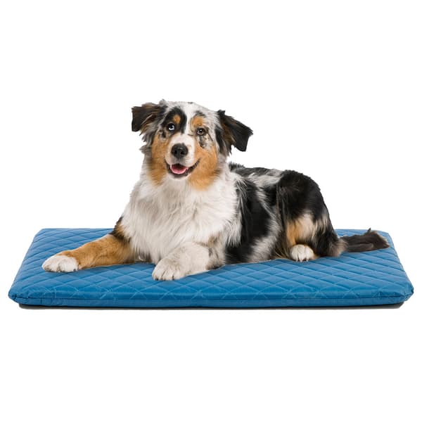 Comfortable Pet Duramat Pet Bed - image 