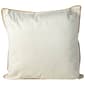 Velvet w/ Contrasting Piping Decorative Pillow - 20x20 - image 1