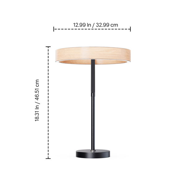 Infibrite Modern 18in. Angled LED Table Lamp