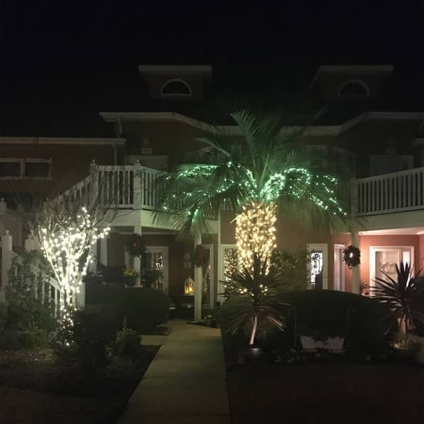 Northlight Seasonal 7ft. Green Christmas Lights - Green Wire