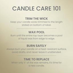 Yankee Candle® 20oz. 2-Wick Sage & Citrus Tumbler Candle