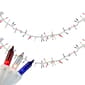 Northlight Seasonal 105ct. Multi Patriotic Mini Light Garland Set - image 1
